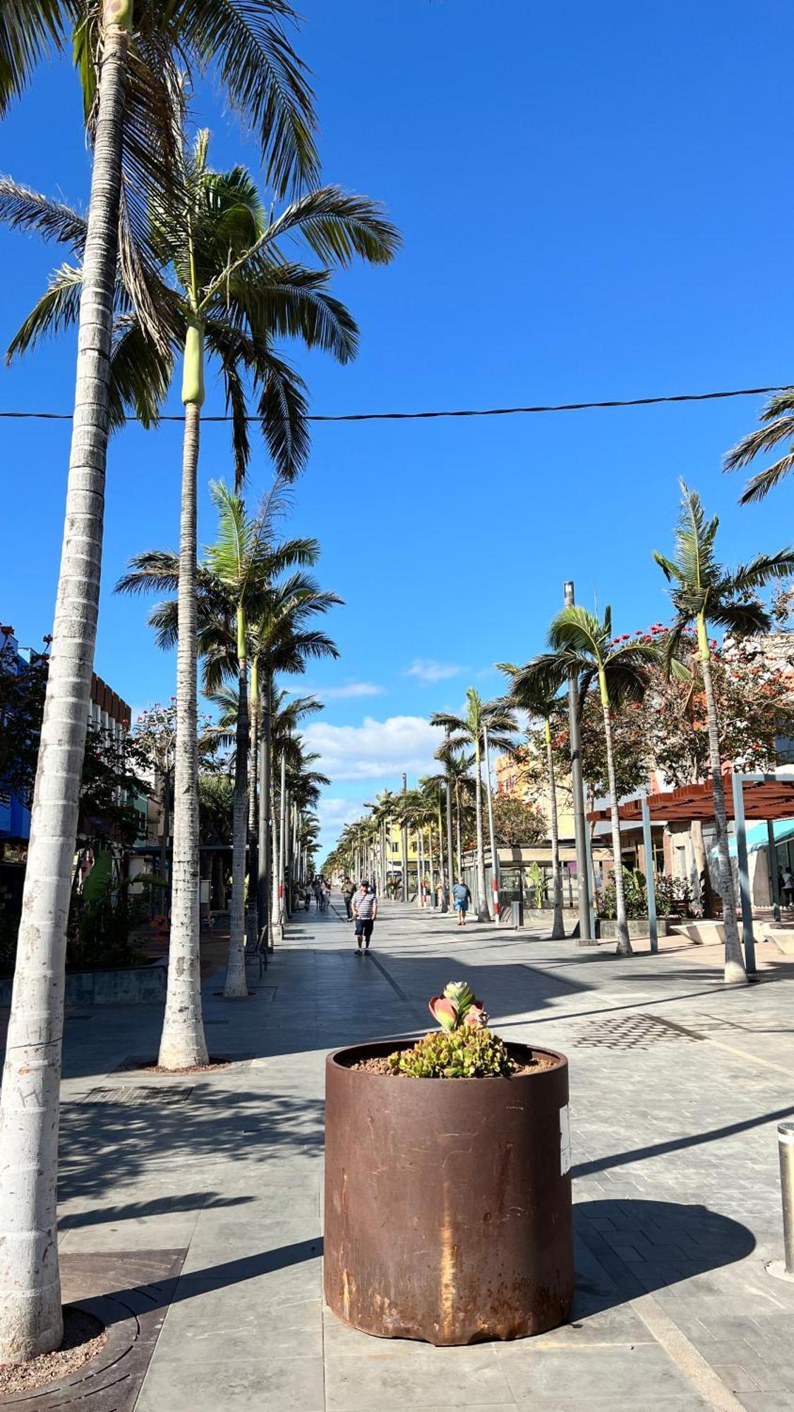 Mirame Canarias ベシンダーリオ エクステリア 写真