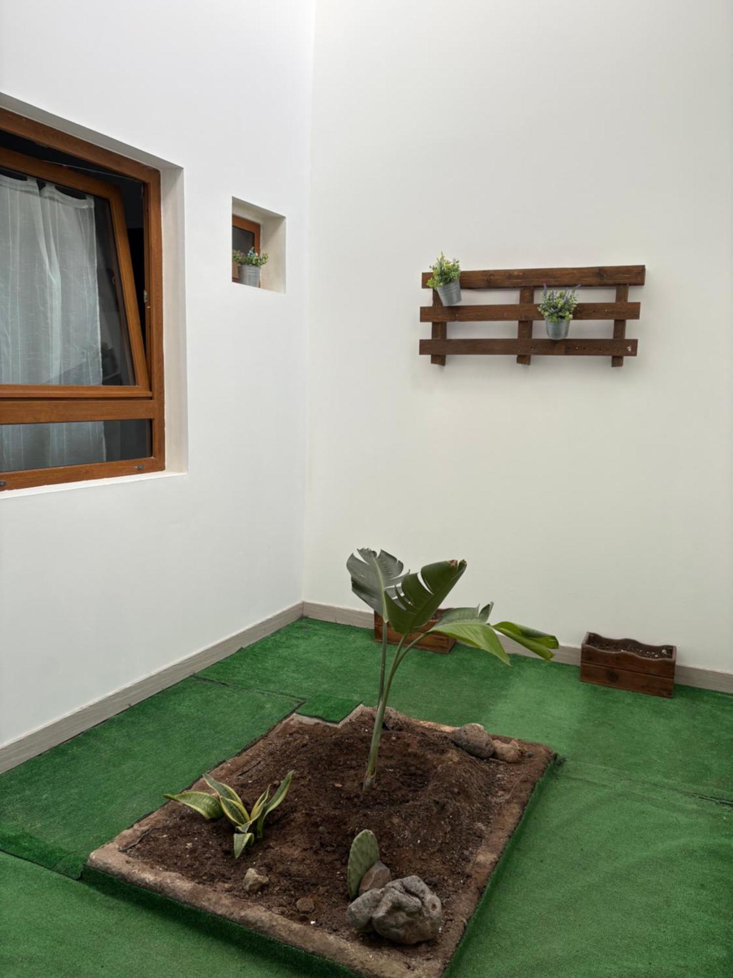 Mirame Canarias ベシンダーリオ 部屋 写真