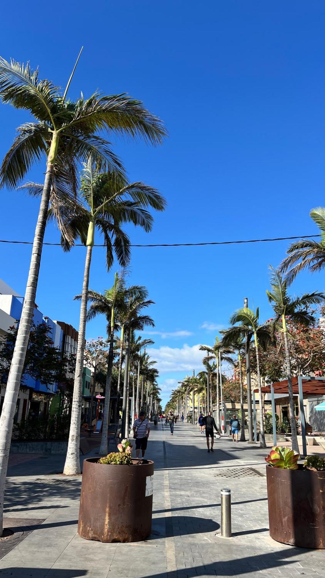 Mirame Canarias ベシンダーリオ エクステリア 写真