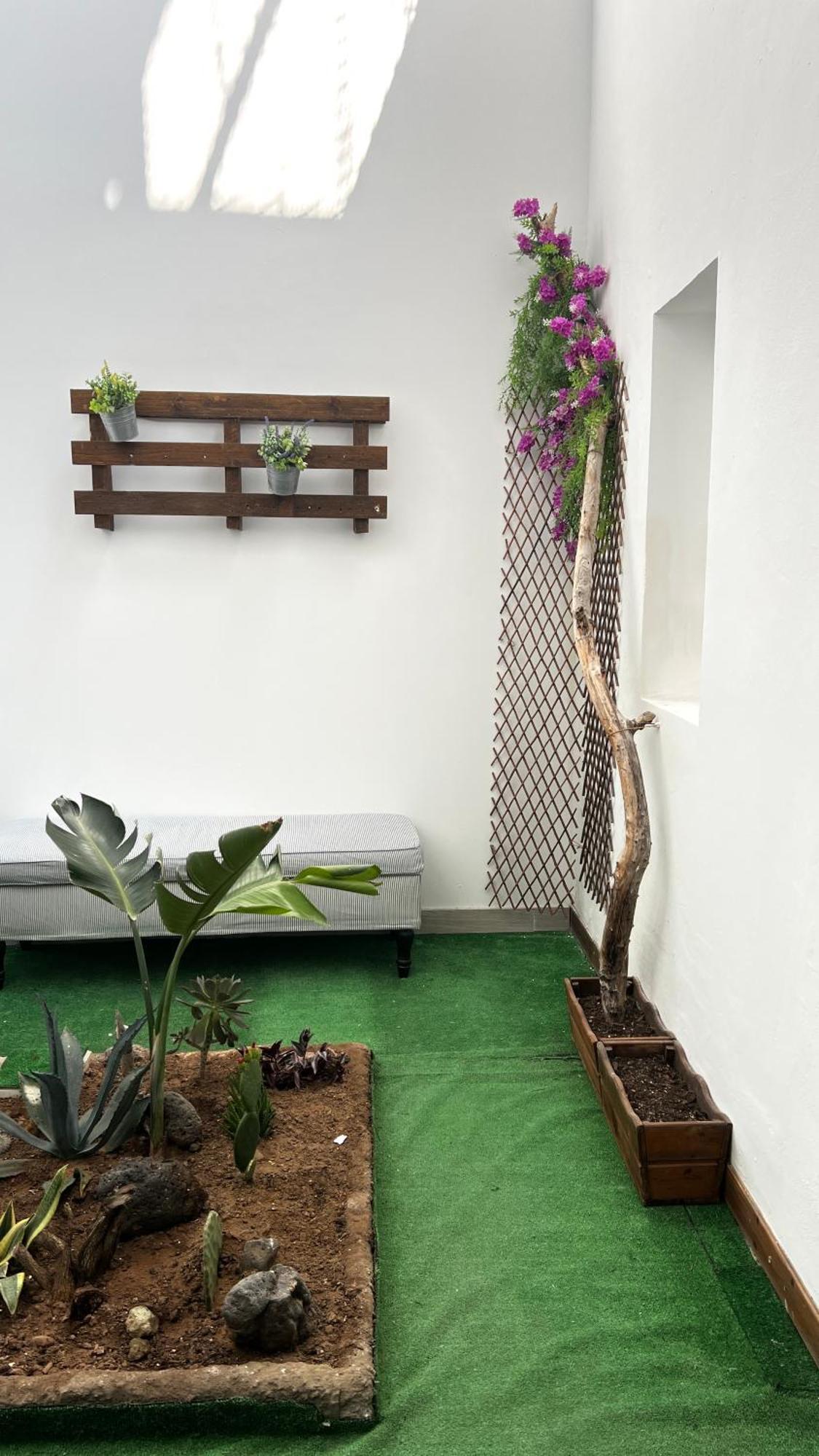 Mirame Canarias ベシンダーリオ エクステリア 写真